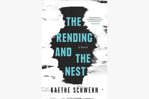 image of Kaethe Schwehn's postapocalyptic dystopian pregnancy novel