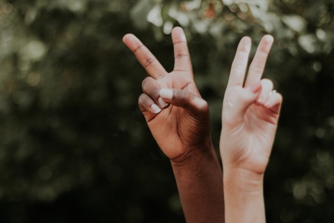 Two hands displaying peace signs